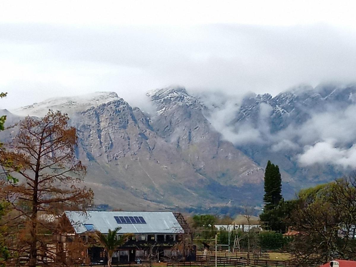 Olive And Vine Farm Cottage Franschhoek Exterior photo